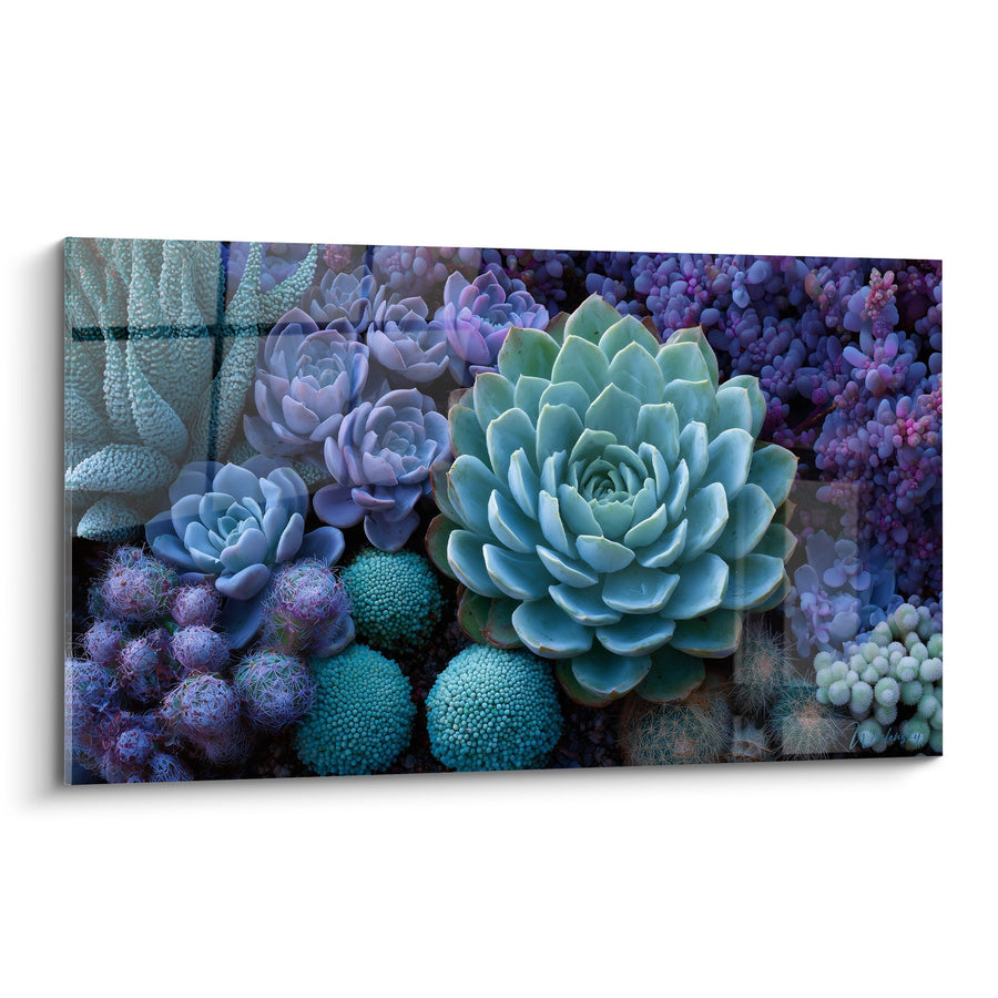 Tableau Jardin de Plantes Grasses Bleu Turquoise et Violet - Harmonie Végétale - Edition Cubisme
