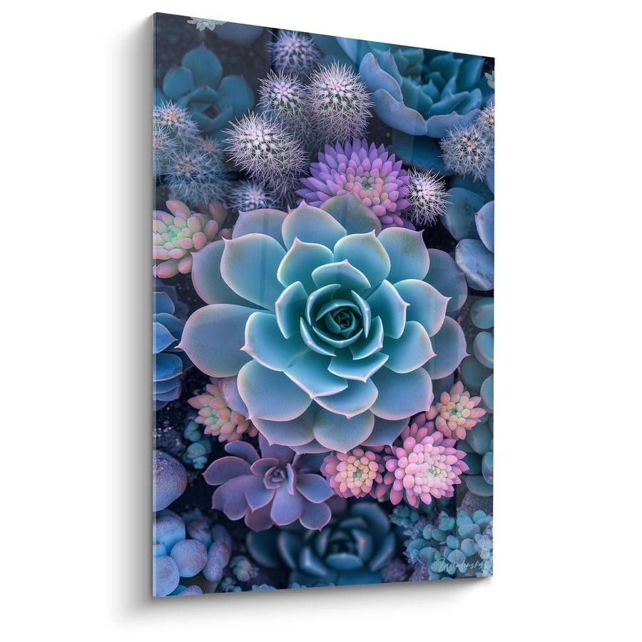 Tableau Plantes Grasses Bleues et Violettes aux Teintes Irisées - Jardin Cubiste - Edition Cubisme