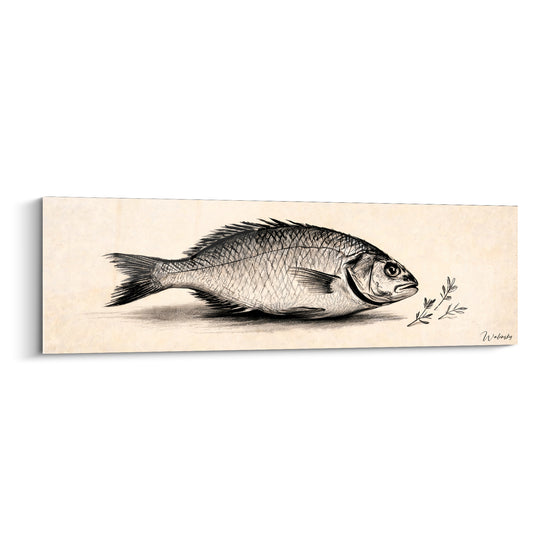 Tableau Poisson au crayon fond ivoire - Étude naturaliste - Edition Plat