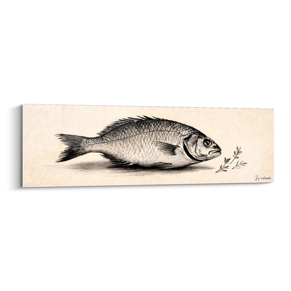 Tableau Poisson au crayon fond ivoire - Étude naturaliste - Edition Plat