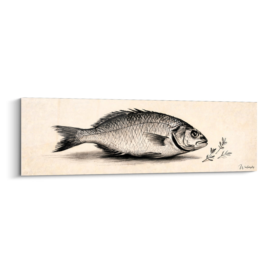 Tableau Poisson au crayon fond ivoire - Étude naturaliste - Edition Plat