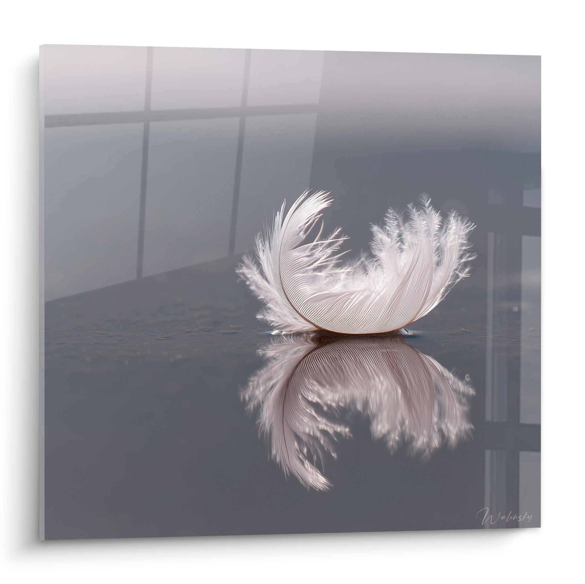 Plume blanche rosée délicate posée sur surface réfléchissante avec reflet parfait