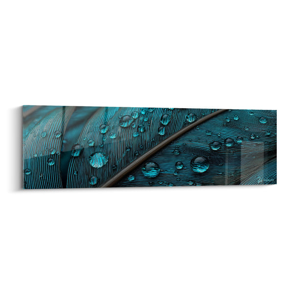 Cuadro de Pluma de Pavo Real Turquesa con Gotas de Agua - Elegancia Natural - Edición Pluma
