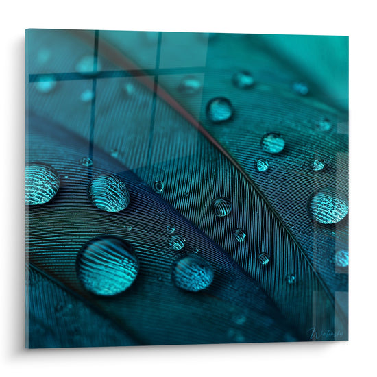 Tableau plume turquoise avec gouttes d eau cristallines sur fond aquatique art decoratif nature
