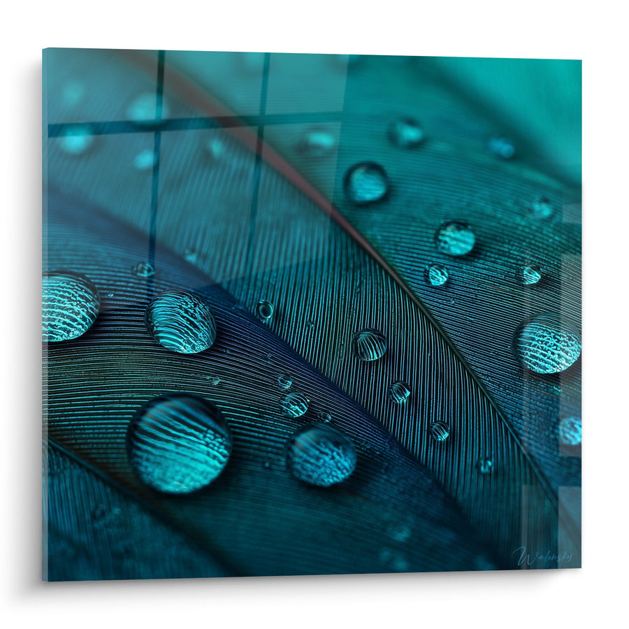 Quadro Piuma Turchese con Gocce d'Acqua - Delicatezza Acquatica - Edizione Piuma