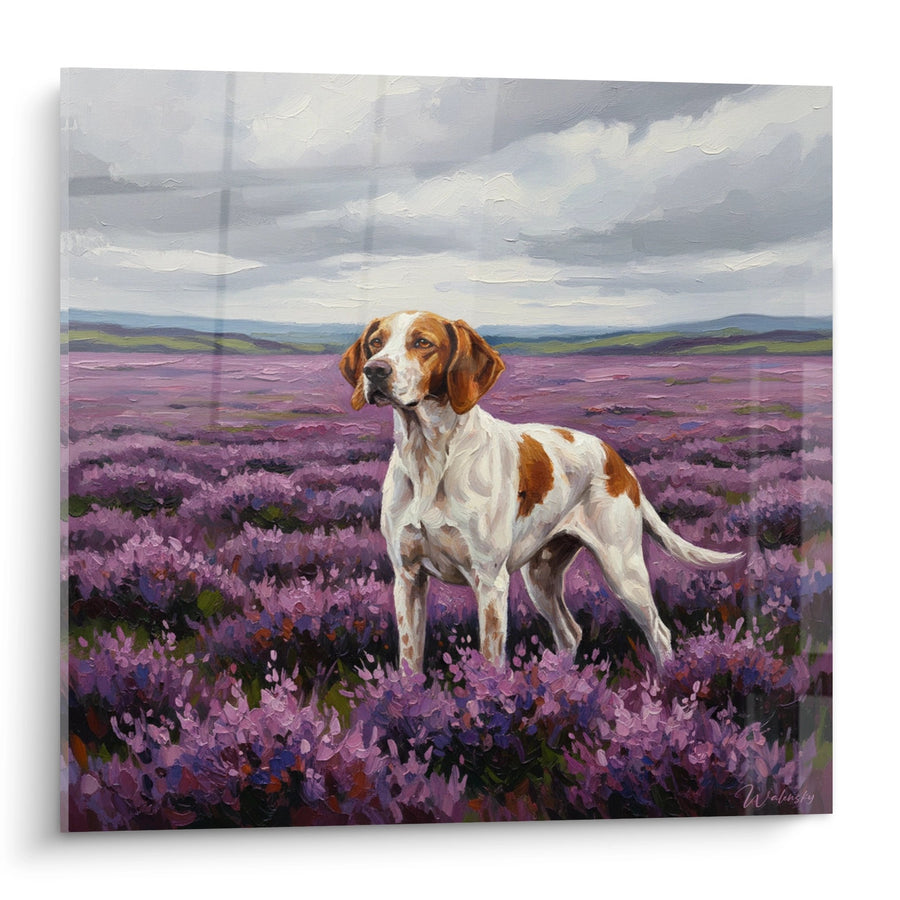 Tableau Chien Blanc et Roux dans Champ de Bruyère Violette - Majesté Naturelle - Edition Pointer Anglais