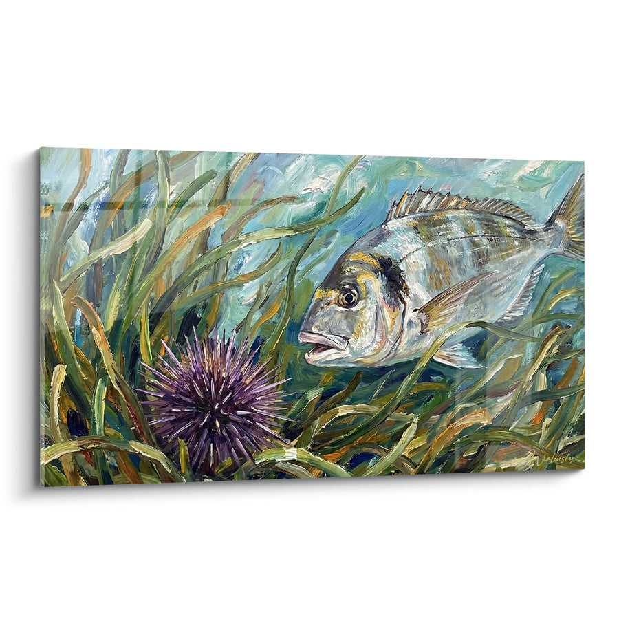 Tableau Poisson Gris et Oursin Violet dans Algues Marines - Écosystème Sous-Marin - Edition Oursin