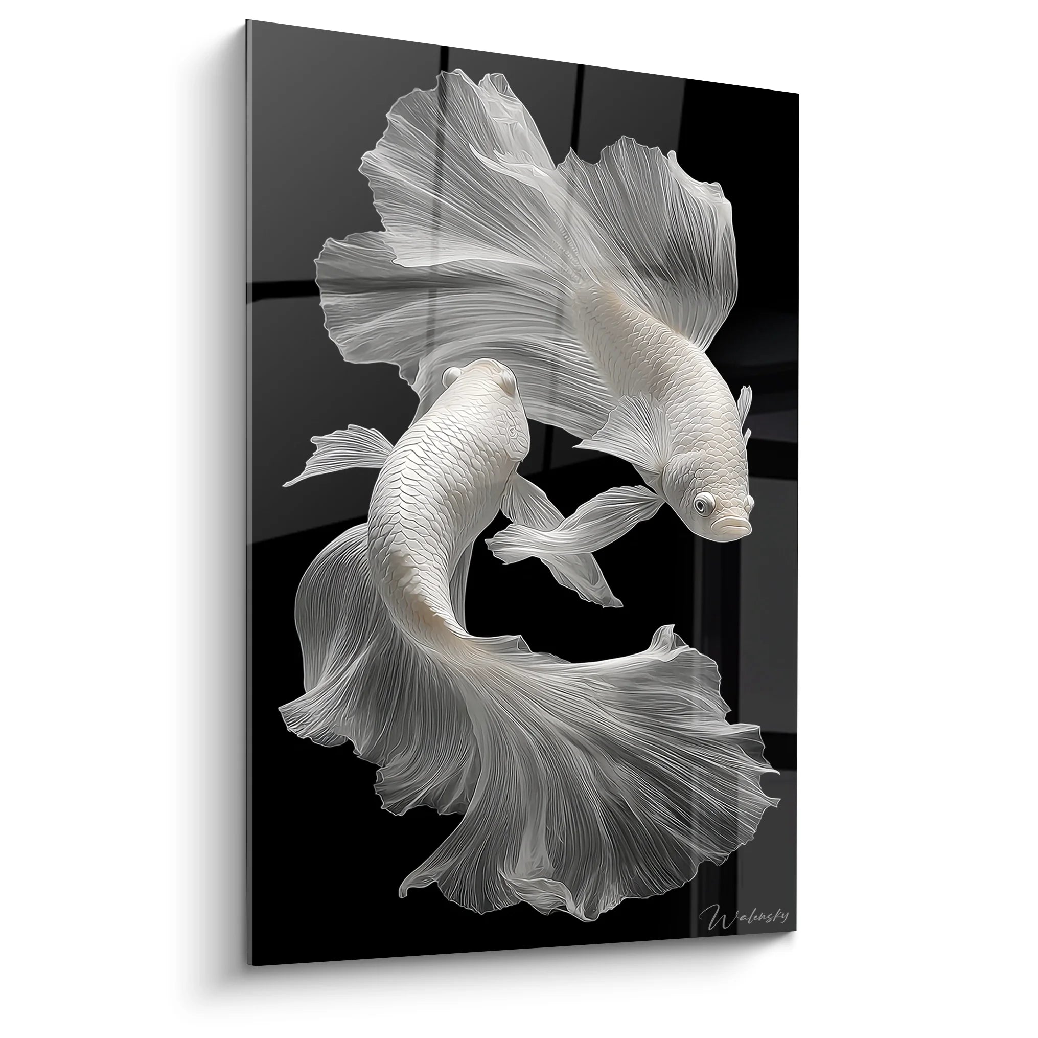 Tableau poissons betta noir et blanc avec nageoires déployées sur fond sombre