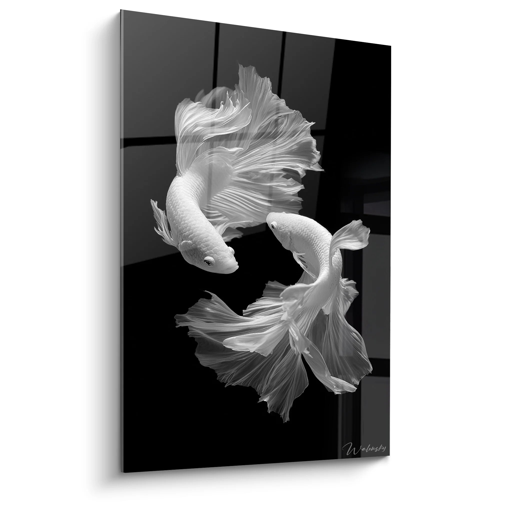 Tableau deux poissons betta noir et blanc avec nageoires élégantes sur fond sombre - art aquatique moderne