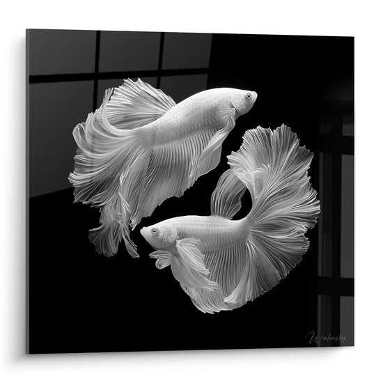 Schilderij Siamese Kemphanen - Waterdans - Zwart-wit diereneditie