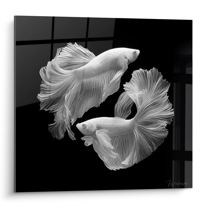 Fighting Fish Wall Art - Aquatic Dance - Black and White Animals Edition