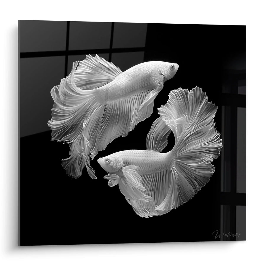 Tableau Poissons Combattants - Danse Aquatique - Edition animaux noir et blanc