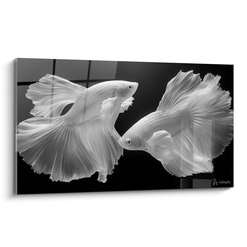 Betta Fish Painting - Aquatic Dance - Black and White Animals Edition