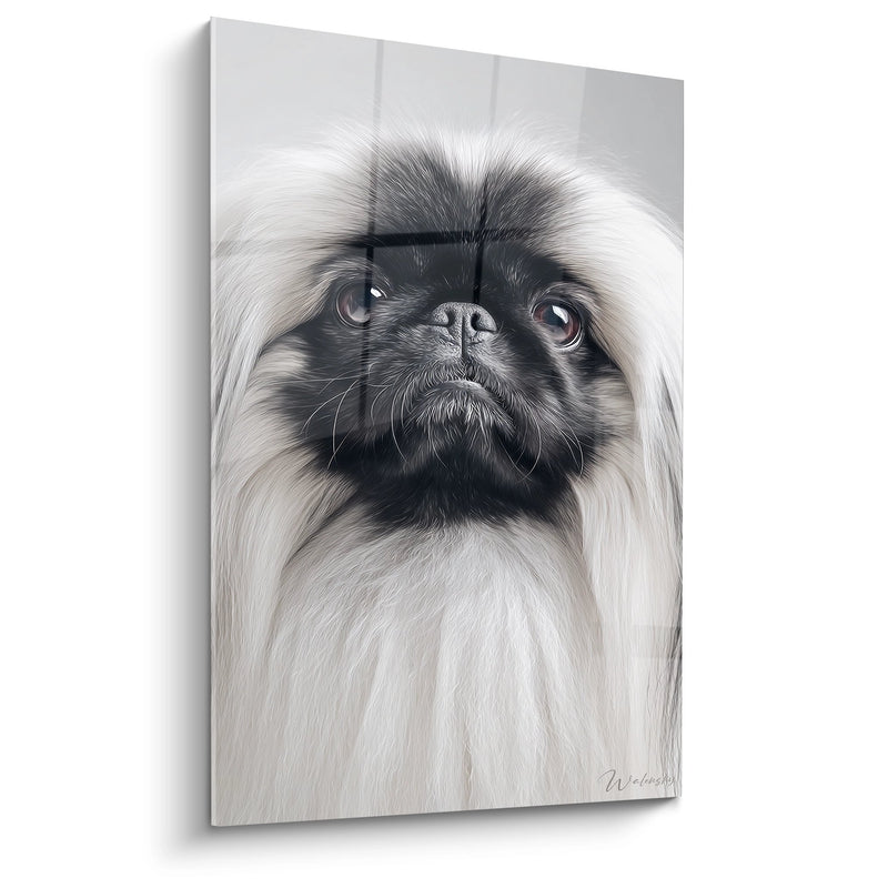 Pekingese Expressive Eyes Painting - Majestic Portrait - Pekingese Edition