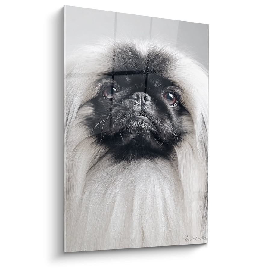 Tableau Pékinois aux Yeux Expressifs - Portrait Majestueux - Edition Pékinois