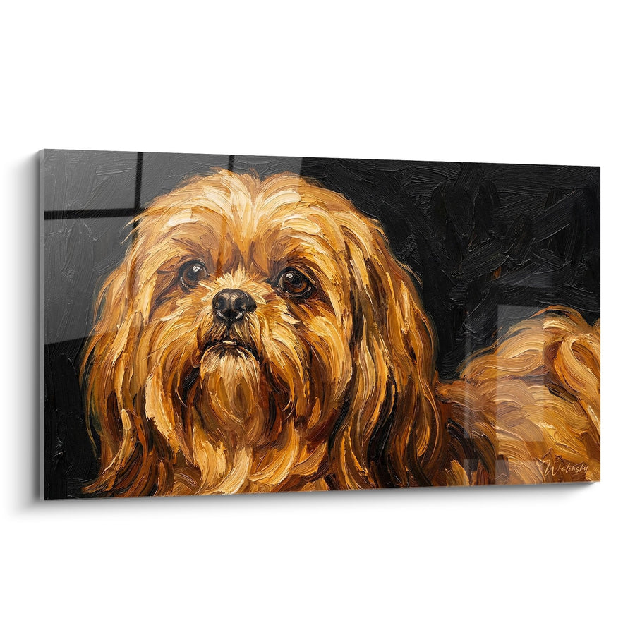 Tableau Chien aux Poils Dorés sur Fond Sombre - Portrait Expressif - Edition Shih Tzu