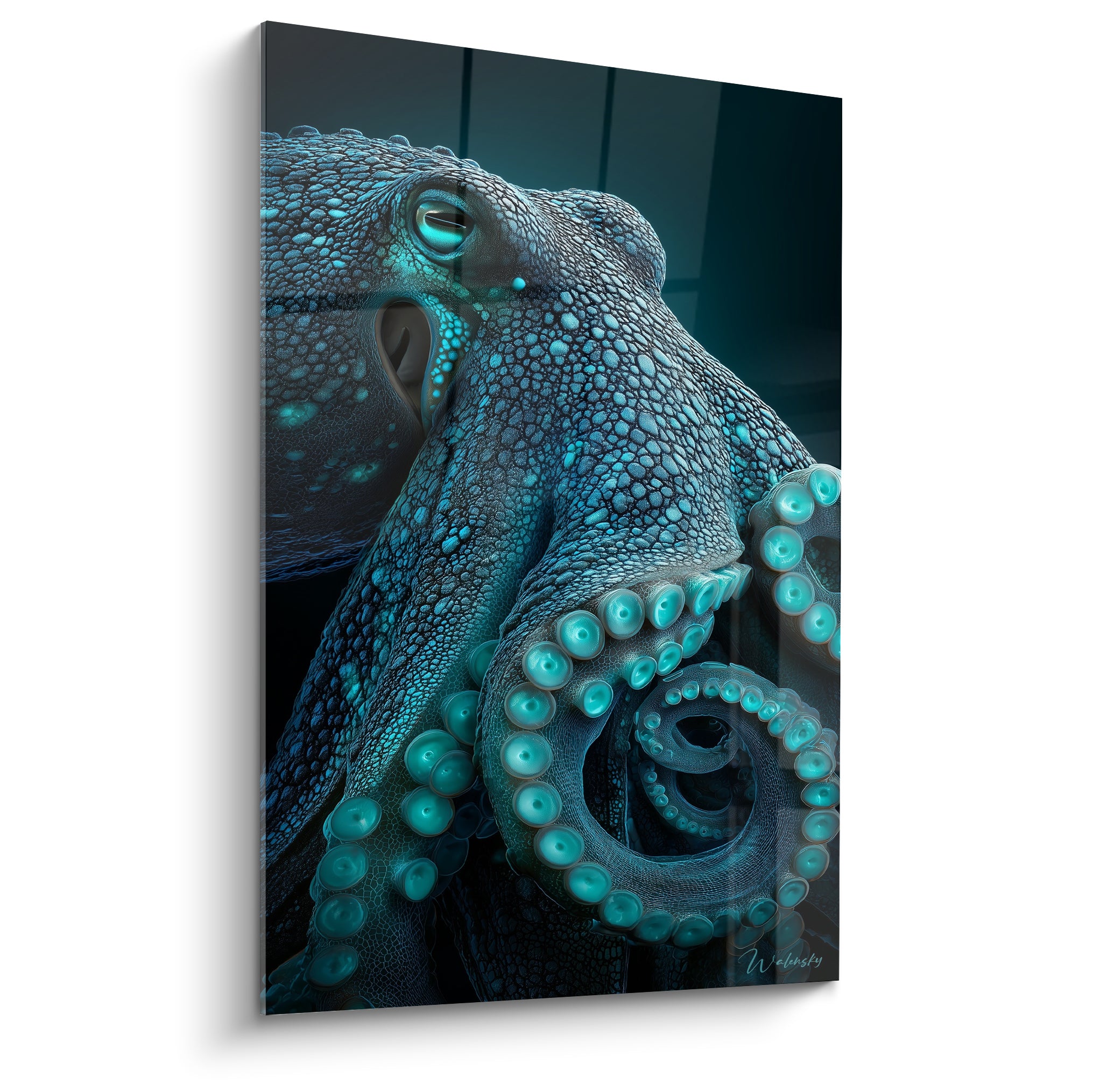 Poulpe bleu anthracite aux ventouses turquoise enroulées en spirale sur fond marin sombre
