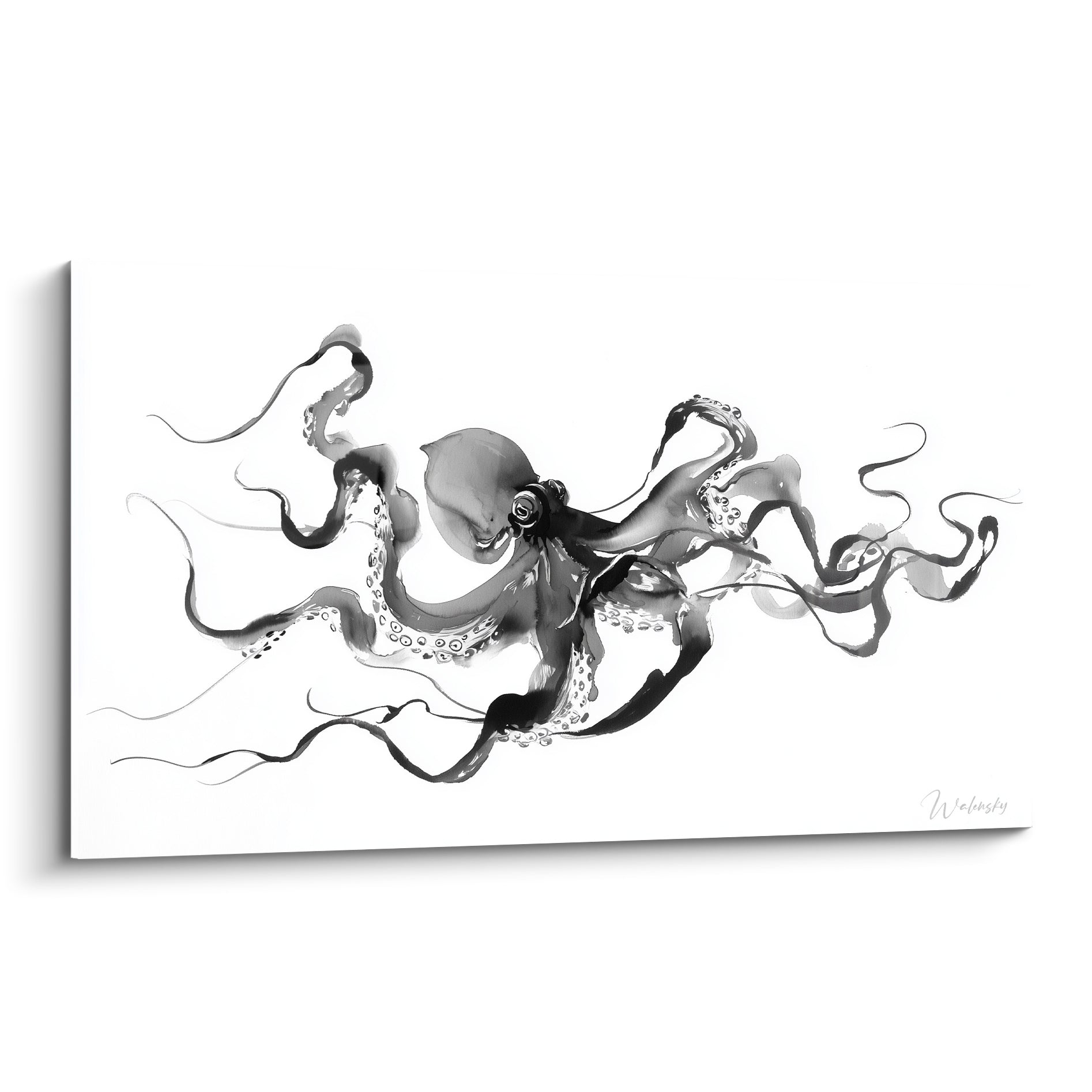 Poulpe noir aux tentacules fluides déployées sur fond blanc immaculé, encre graphique