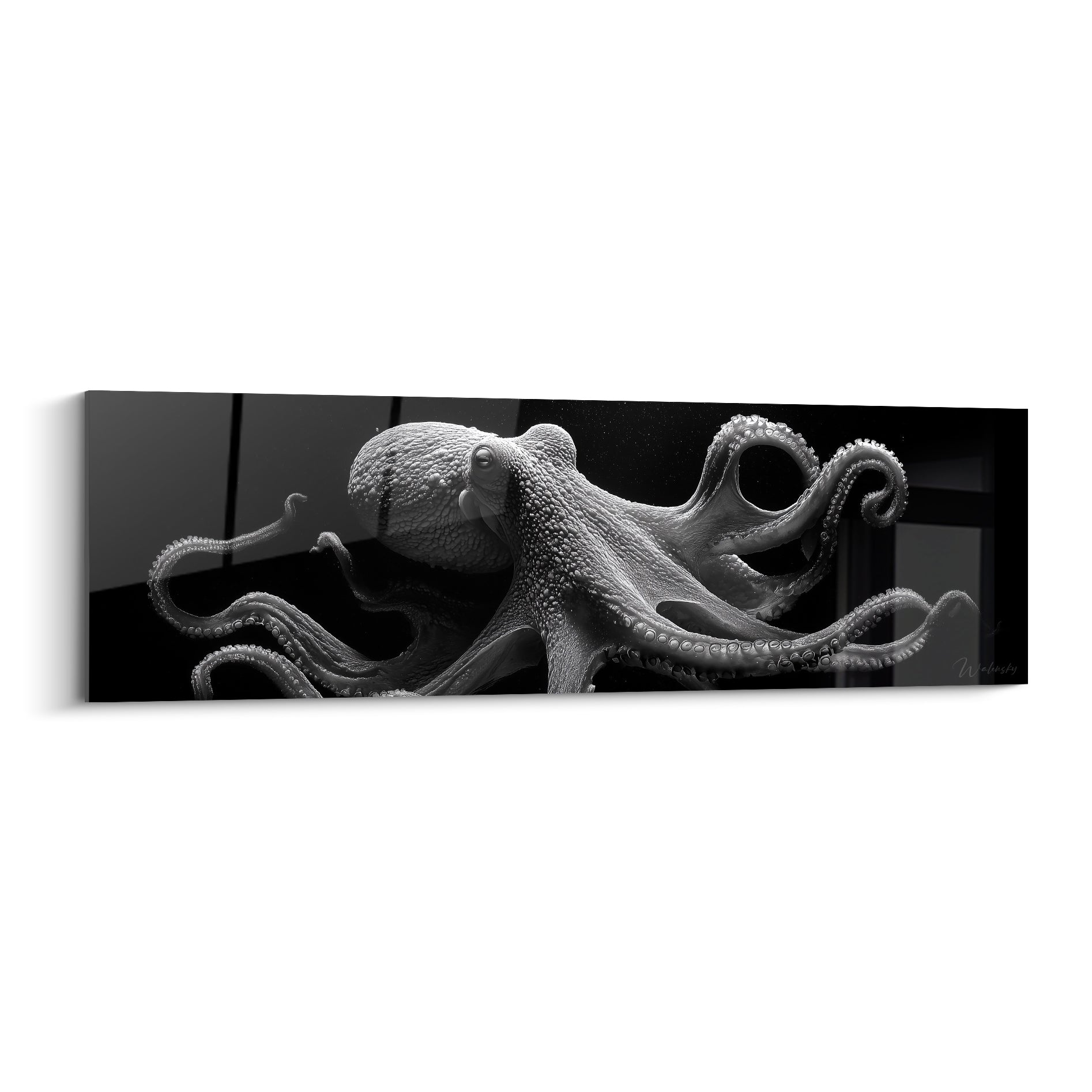 Poulpe noir et blanc aux tentacules enroulés, texture granuleuse et reflets argentés saisissants