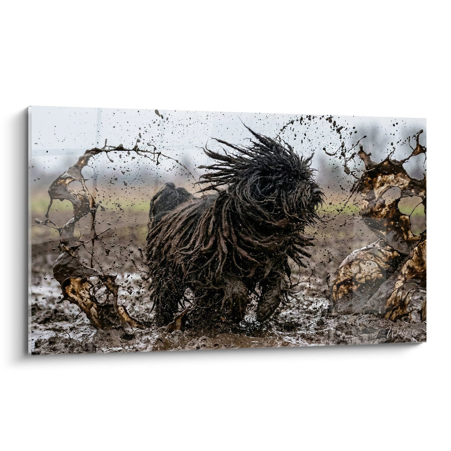 Tableau Chien aux Dreadlocks dans la Boue - Puissance Sauvage - Edition Puli