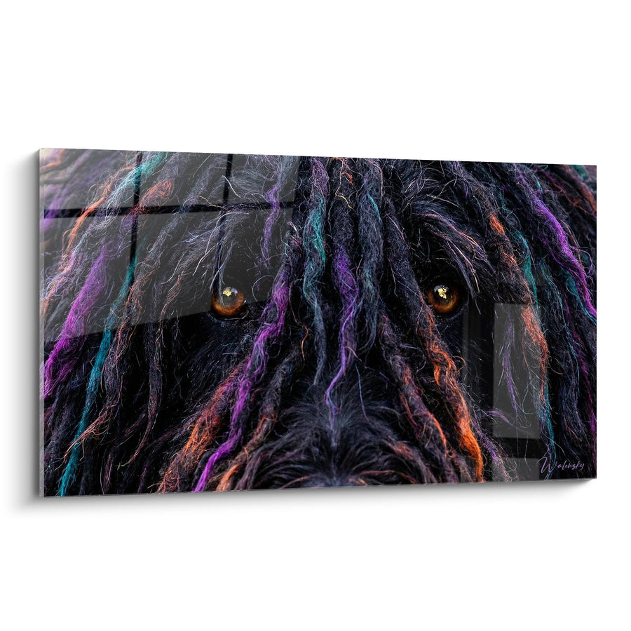 Tableau Chien aux Dreadlocks Colorées et Yeux Ambrés - Portrait Artistique - Edition Puli