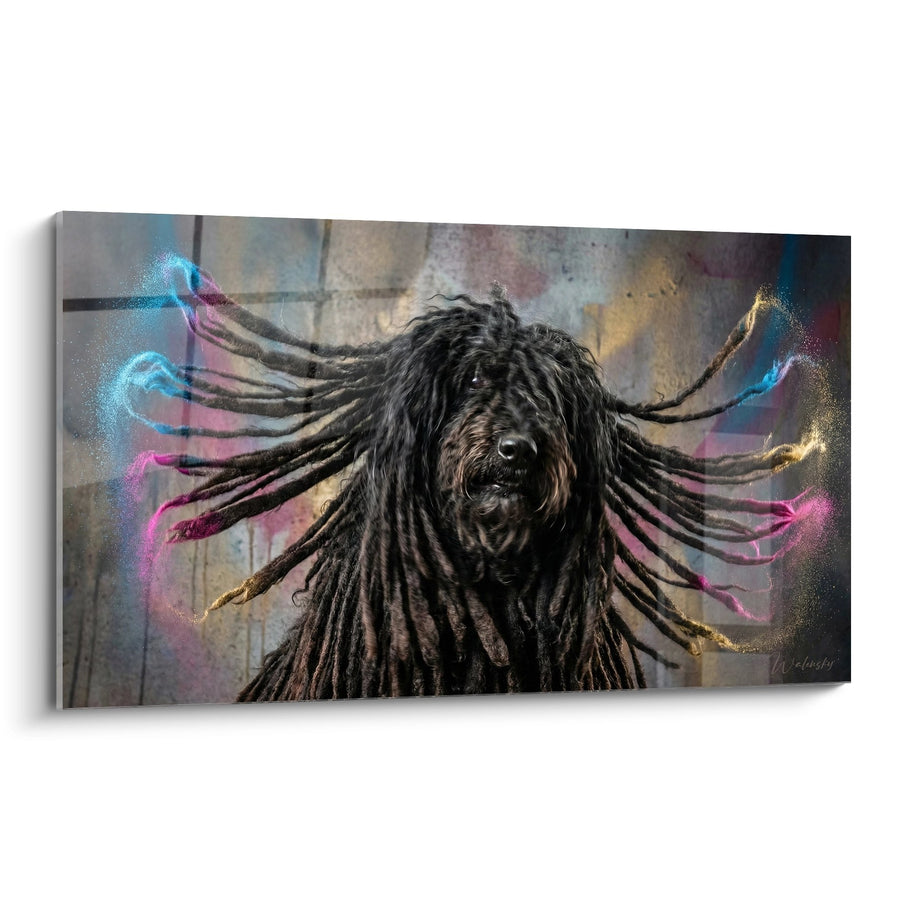 Tableau Chien aux Dreadlocks et Éclats Multicolores - Énergie Urbaine - Edition Puli