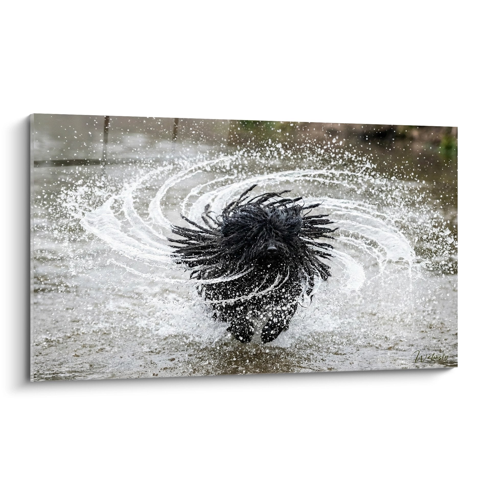 tableau puli noir eclaboussures eau mouvement dynamique art photographique monochrome