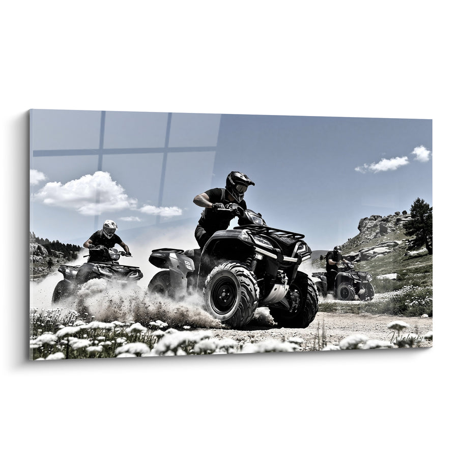 Tableau Quad noir et gris parmi les fleurs blanches - Champ de marguerites sauvages - Edition Quad