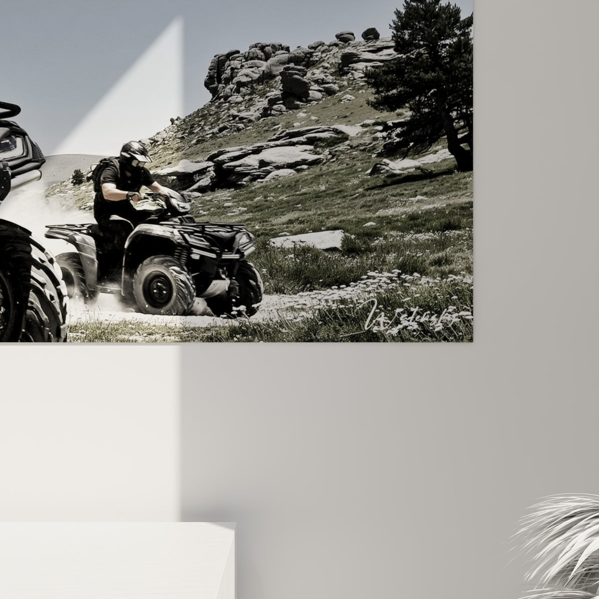 Détail du grain photographique montrant les nuances de gris, de noir et de poussière beige sur cette toile de quad