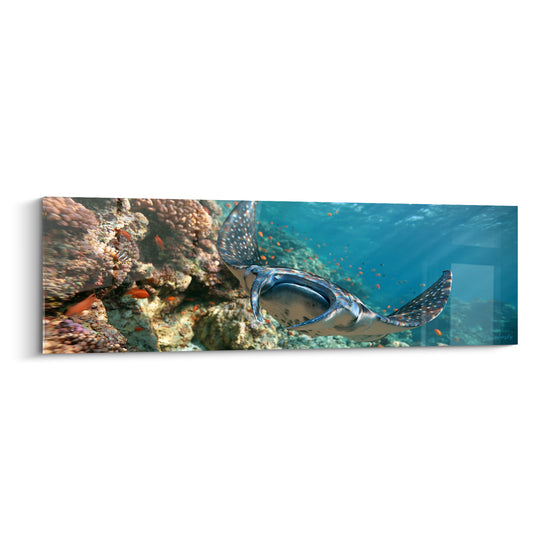Tableau Raie tachetée bleue et blanche près du corail - Poissons orangés dispersés - Edition Raie manta