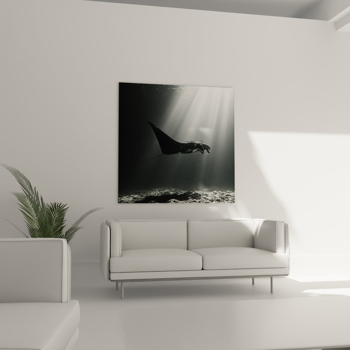 Ombre profonde de la raie manta sous des faisceaux lumineux, au-dessus d'un canapé dans un salon lumineux