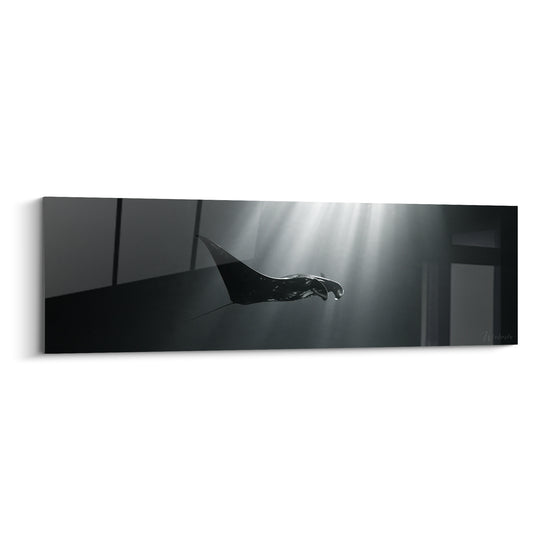 Tableau Raie noire et grise sous faisceau vertical - Colonne de lumière - Edition Raie manta