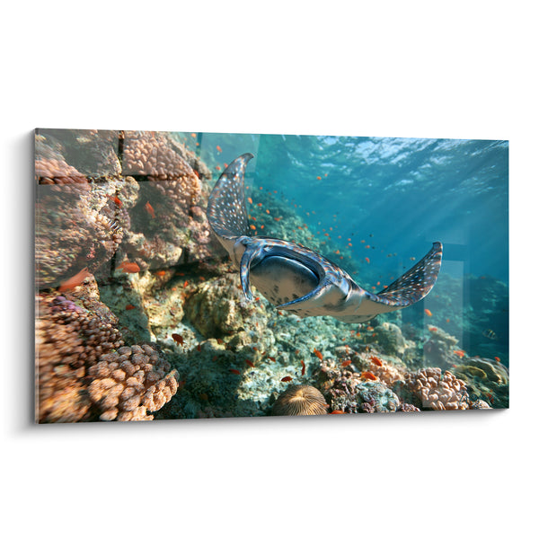 Schilderij Manta Ray boven het koraalrif - Onderwater stilte - Editie Manta Ray