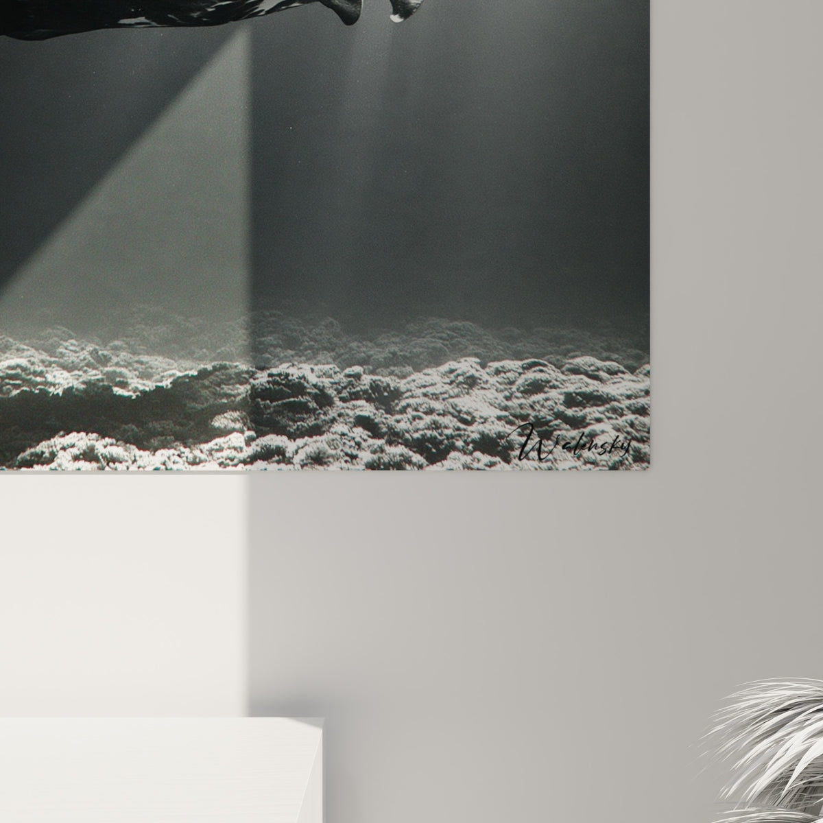 Détail des textures grises et noires du tableau raie manta, contrastes marqués entre lumière et obscurité
