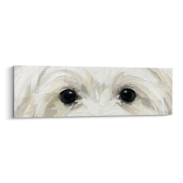 Cuadro Mirada Penetrativa de Ojos Negros - Ternura Canina - Edición Bichón Maltés