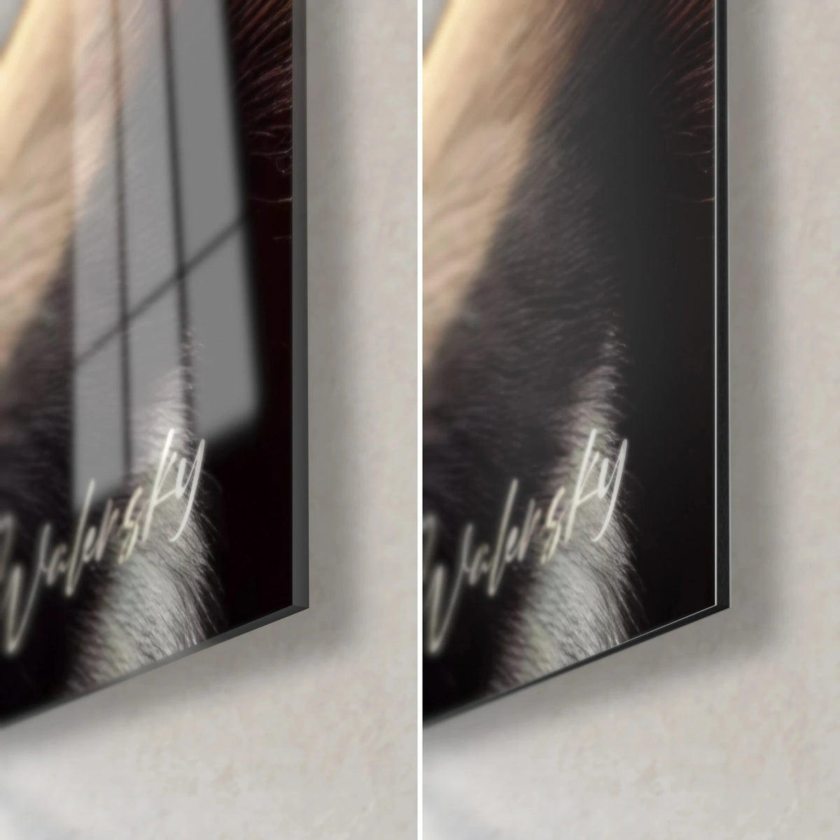 Quadro di una gazzella dal pelo fulvo e crema, angolo in basso a destra: vetro acrilico lucido che riflette la finestra, alluminio Dibond opaco, bordo da 3 mm
