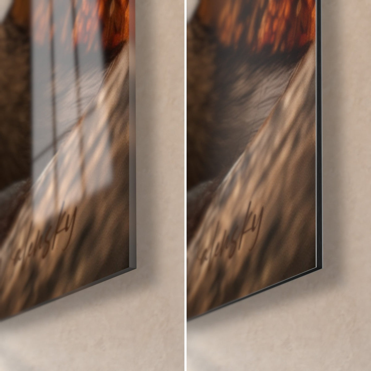Wall art fox with ears raised, bottom right corner: glossy glass on the left, matte Dibond aluminium on the right, 3 mm edge