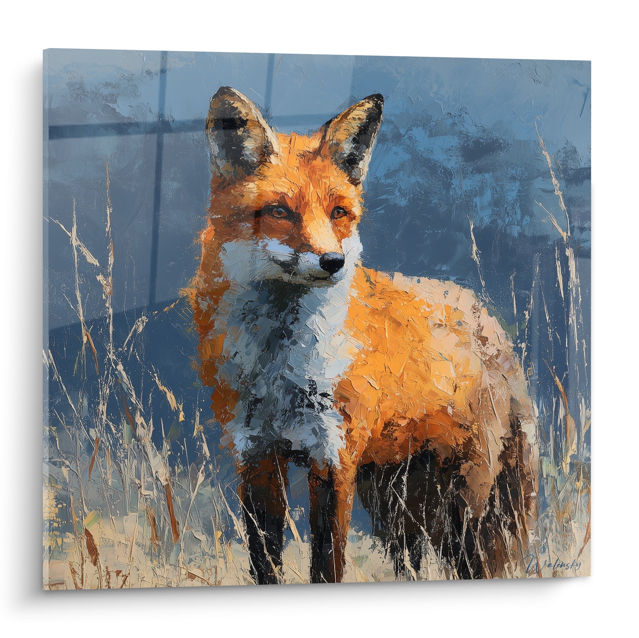 Renard fauve aux oreilles dressées, pelage orange et blanc crème, fond bleu ardoise texturé