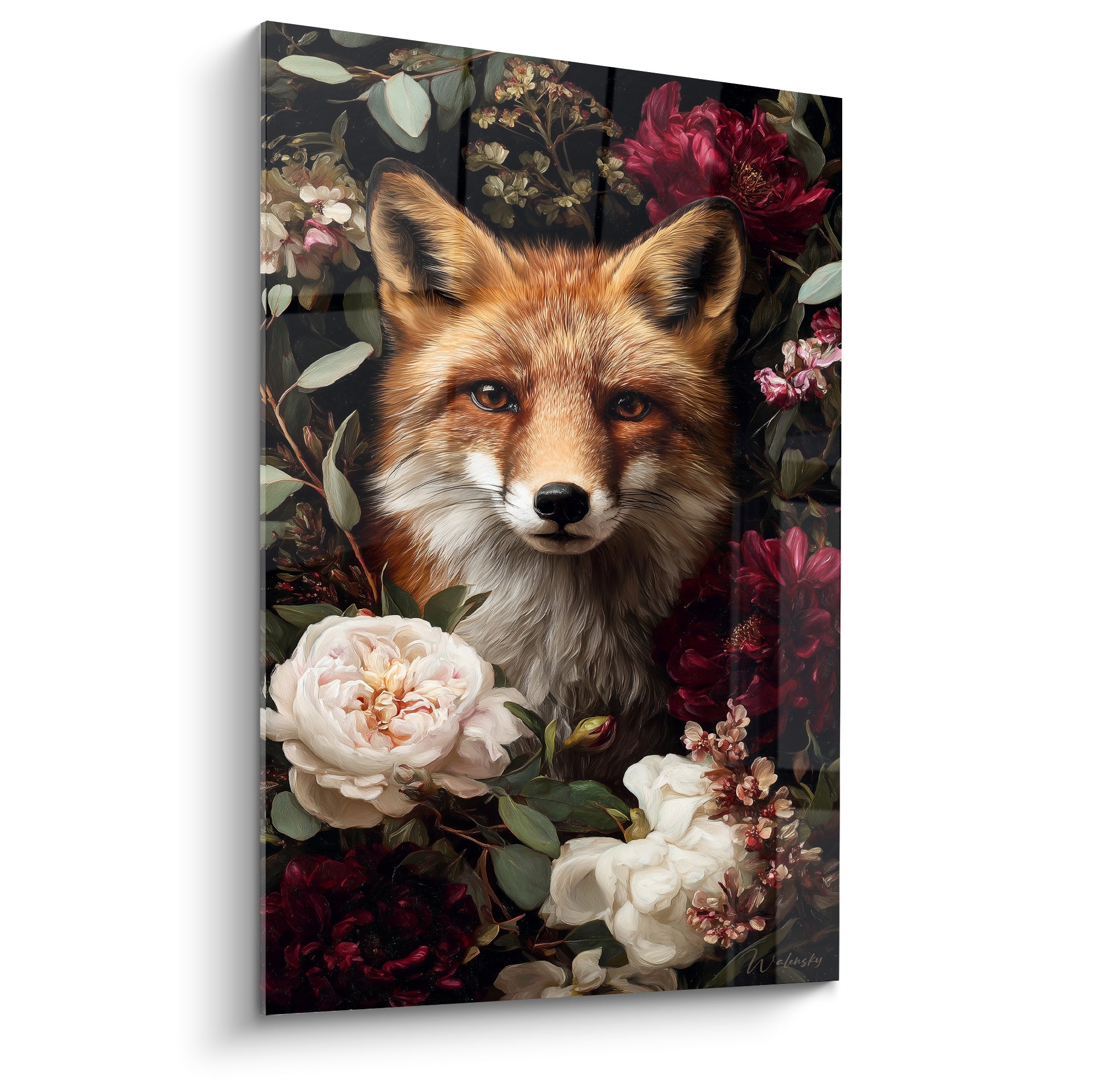 Renard roux au regard doux, entouré de pivoines blanches et fleurs bordeaux sur fond anthracite