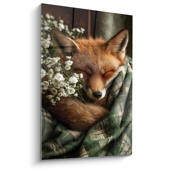 Tableau Renard roux endormi drapé de tartan - Sieste enveloppée - Edition Renard