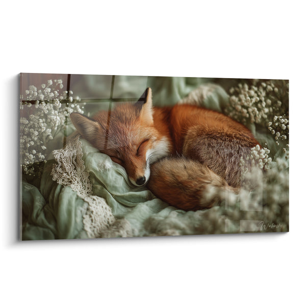 Tableau Renard roux lové sur tissu vert pâle entouré de fleurs blanches - Dentelle et gypsophile - Edition Renard
