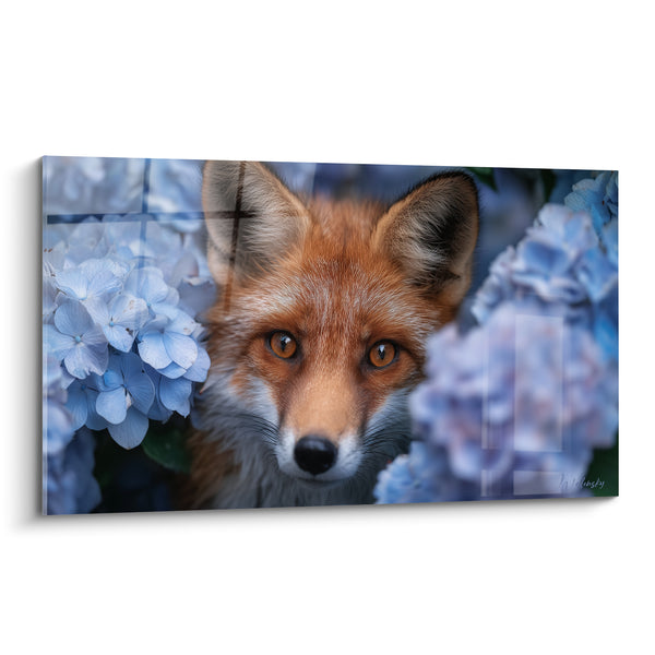 Tableau Renard roux entre hortensias bleu pastel - Regard caché - Edition Renard