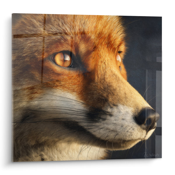 Tableau Roux au museau blanc profil rapproché - Œil ambré fixe - Edition Renard