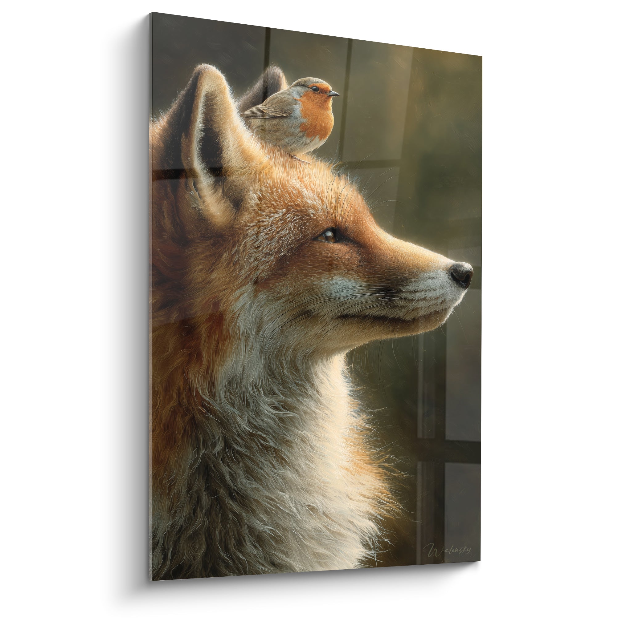 Renard roux au pelage crème et orangé, rouge-gorge perché entre ses oreilles, fond anthracite flou