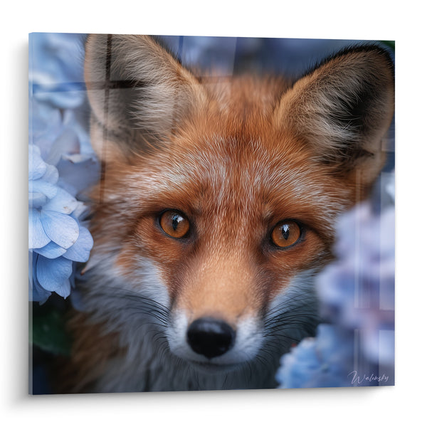 Tableau Renard roux entre hortensias bleus - Regard perçant fleuri - Edition Renard