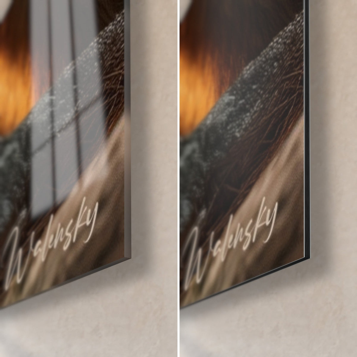 Wall art of a red fox with orange tail, bottom right corner: glossy acrylic glass on the left, matte black Dibond on the right, 3 mm edge