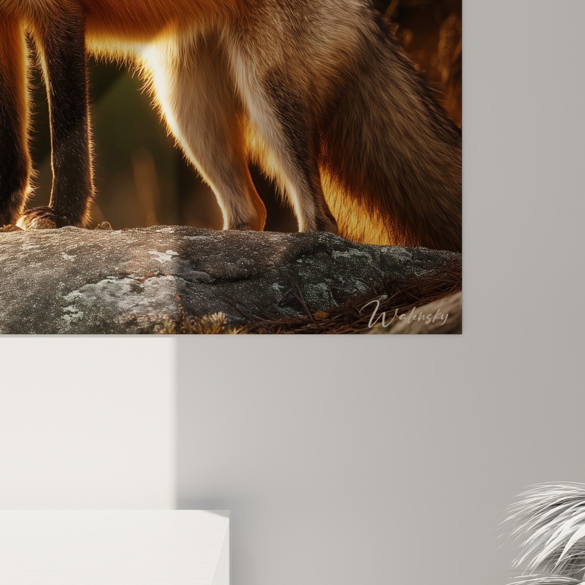 Détail du pelage orangé et blanc du renard, texture fine et lumière dorée en gros plan