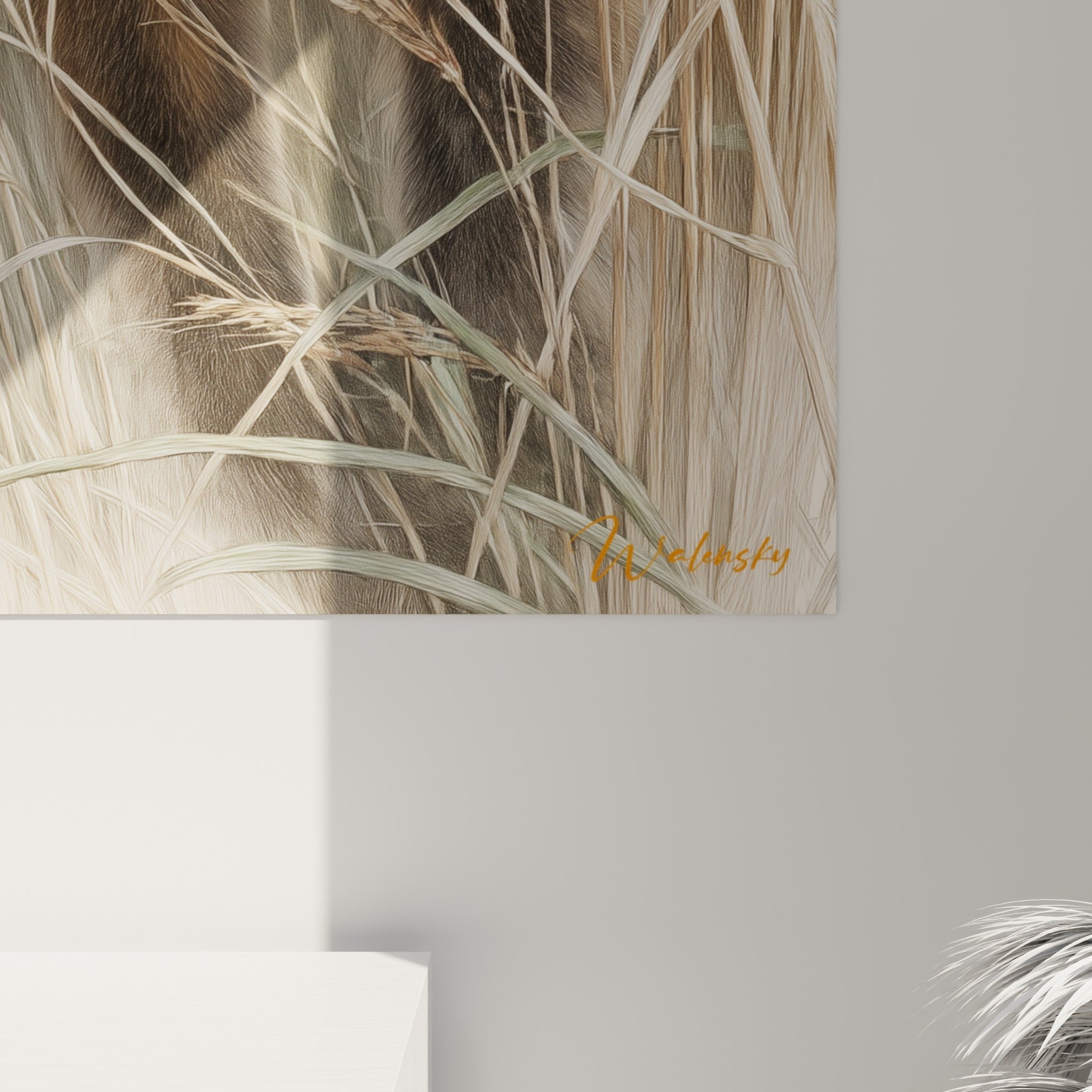 Détail du pelage roux et blanc du renard, texture fine des herbes beige et grises en gros plan