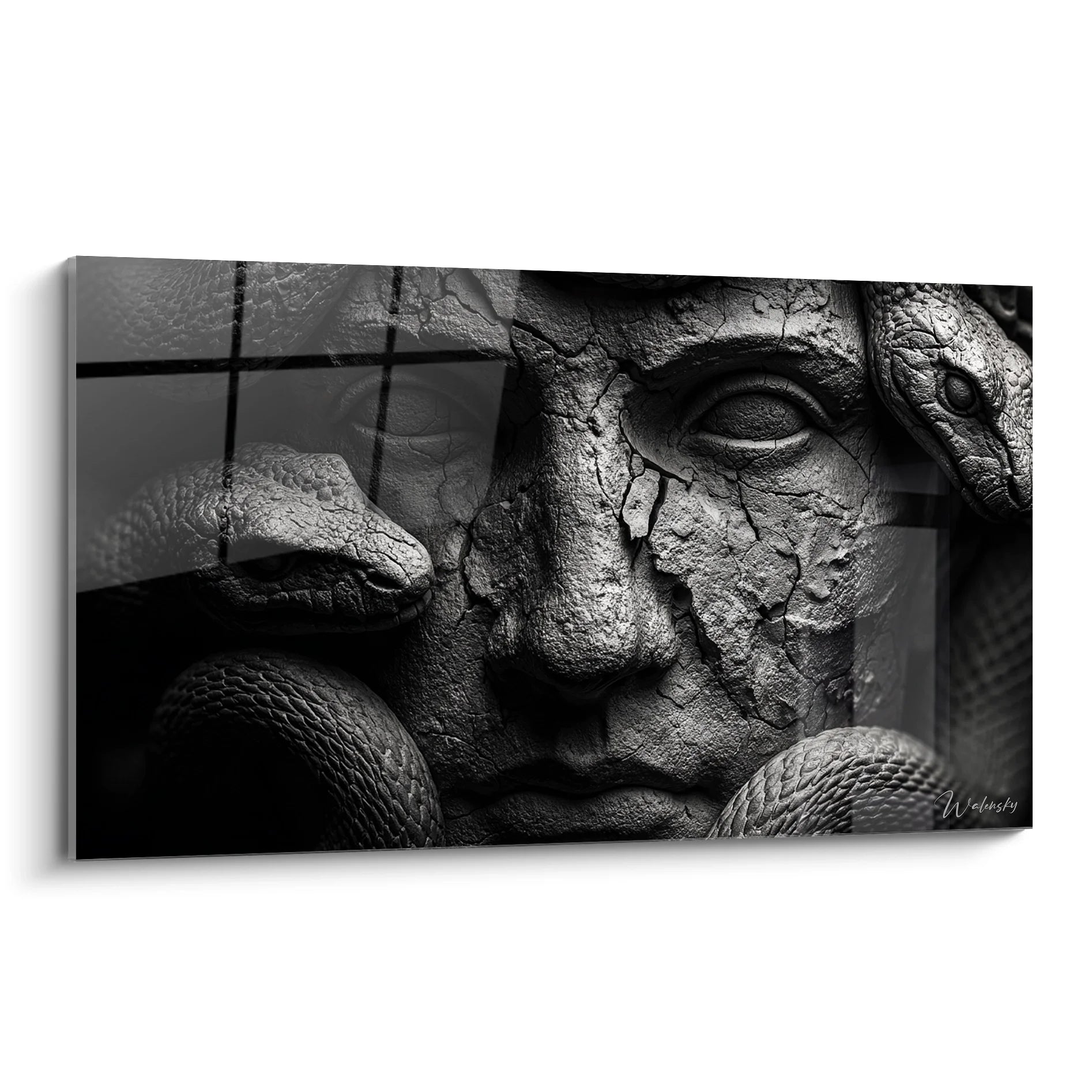 Tableau noir et blanc représentant un reptile antique aux traits mystérieux et à la peau écailleuse texturée