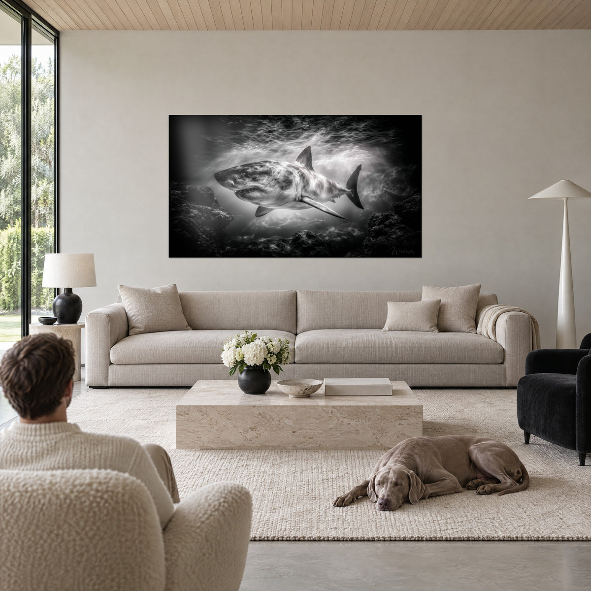 Wall art silver white shark gliding between the reefs, pearl-grey light rays, deep black, above a sofa in a bright living room